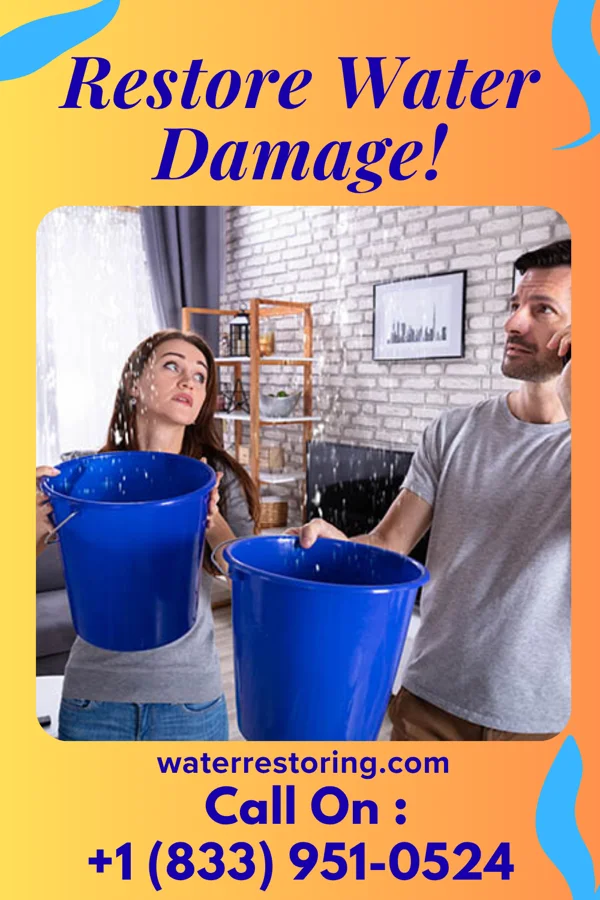 water restoration Allied Flood Mitigation Professionals Collegeville