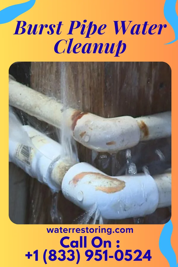 Burst Pipe Water Cleanup in Collegeville, PA