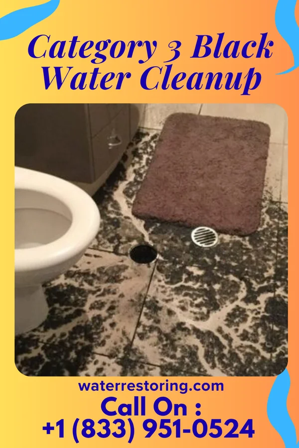 Category 3 Black Water Cleanup in Collegeville, PA
