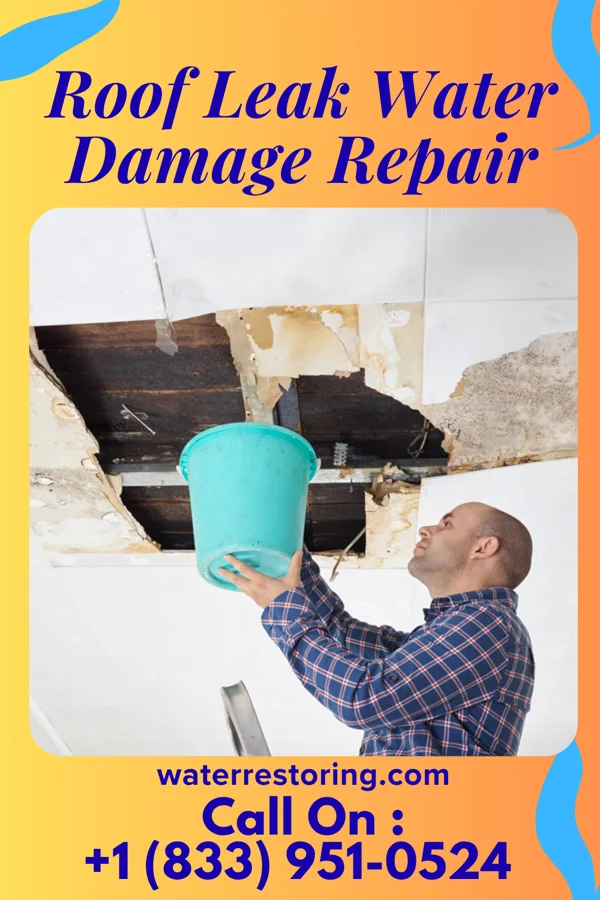 Roof Leak Water Damage Repair in Collegeville, PA