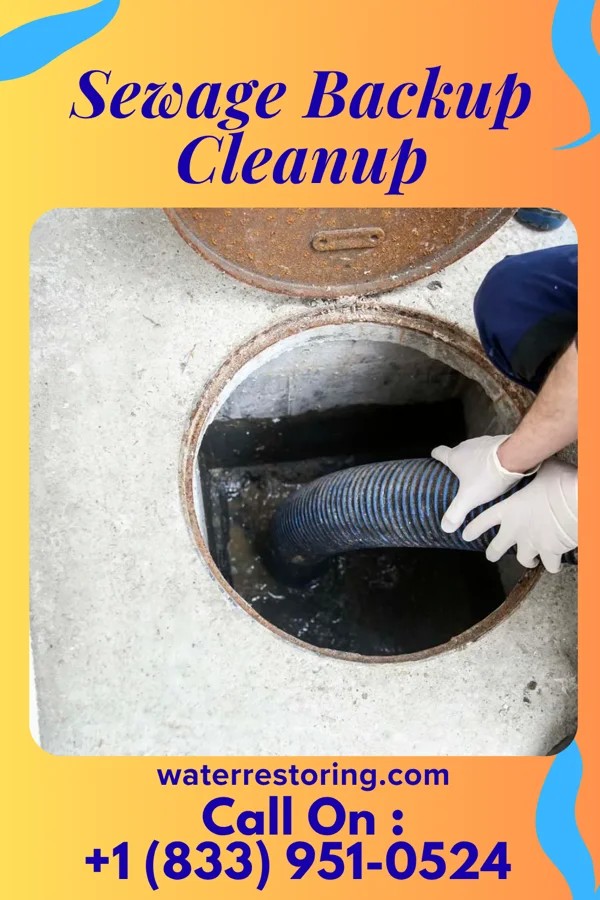 Sewage Backup Cleanup in Collegeville, PA