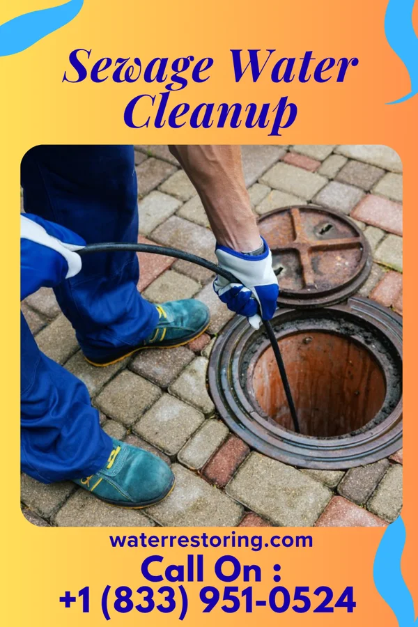 Sewage Water Cleanup in Collegeville, PA