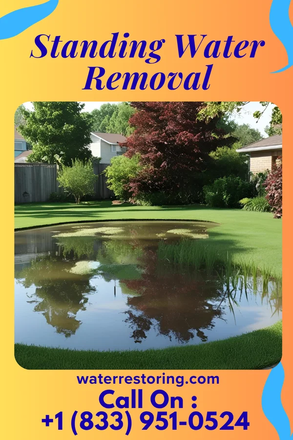 Standing Water Removal in Collegeville, PA